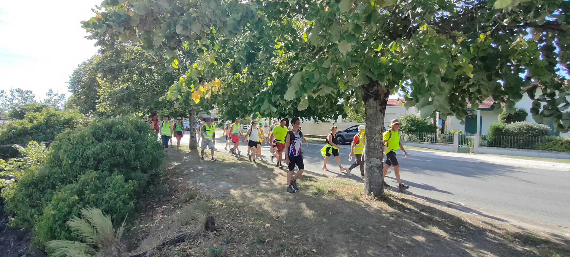 Vous consultez actuellement Audax Charentais; Brevets 25/50 km à Ronce les Bains du 13/09/2026